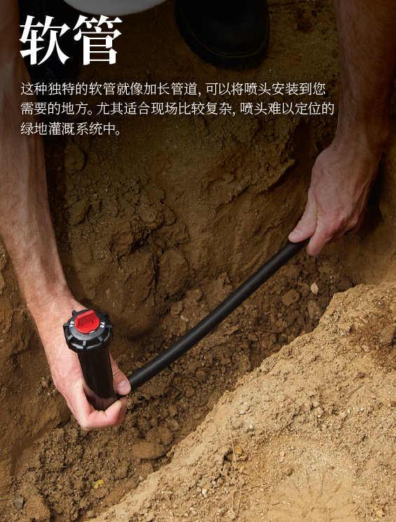 千秋架圖片.jpg